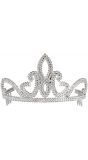 Zilveren prinsesjes tiara