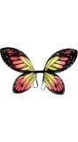Zwart-oranje-gele vlinder vleugels kind