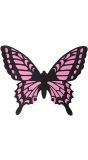 Zwart roze vlinder vleugels