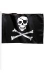 Zwarte Jolly Roger vlag met stok