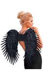 Zwarte veren engel vleugels