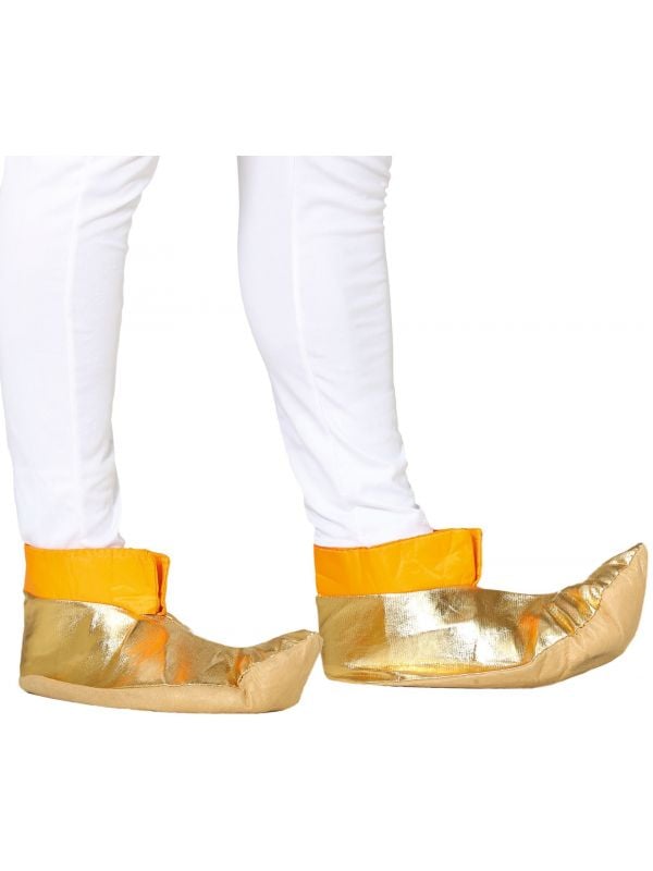 Aladin oosterse schoenen