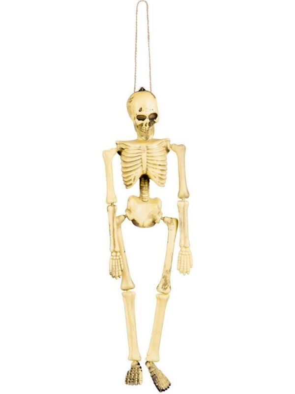Basic skelet decoratie hangend