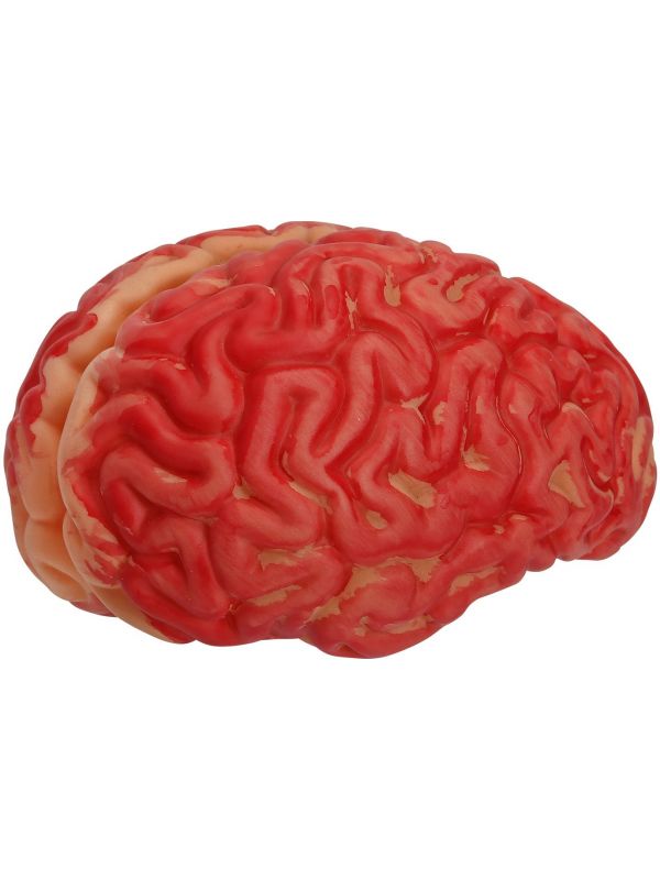 Brein mens halloween rood