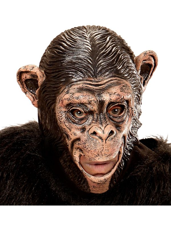 Chimpansee masker kind
