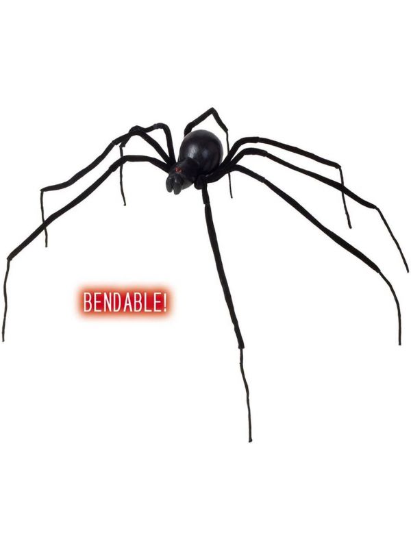 Grote zwarte weduwe spin
