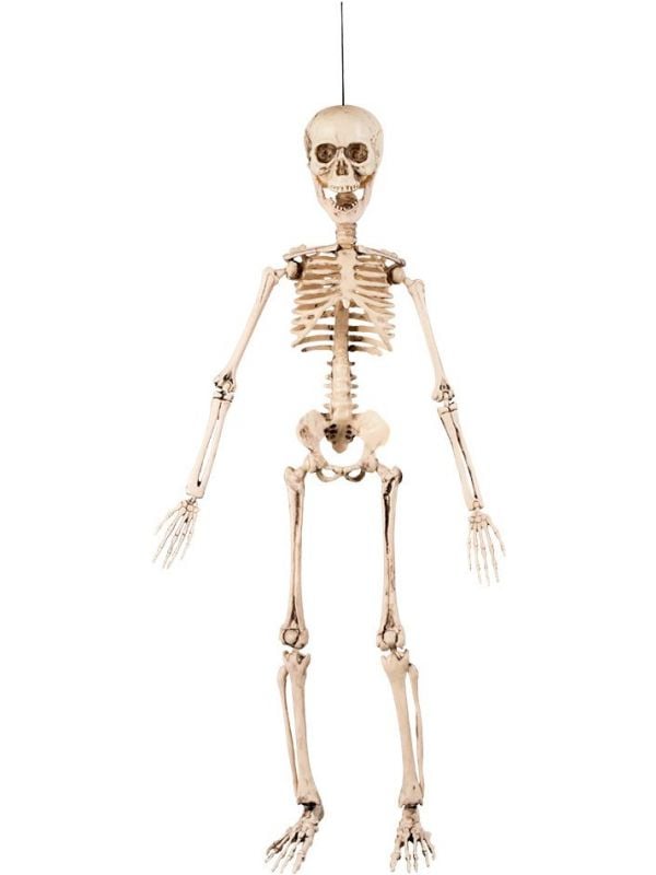 Halloween beweegbaar skelet hangdecoratie 50cm