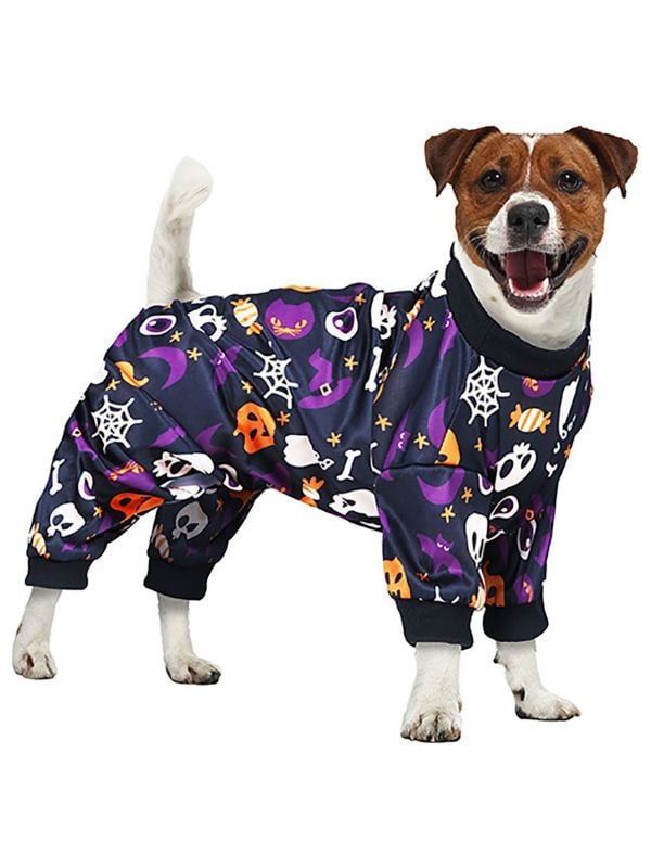 Halloween hond kostuum