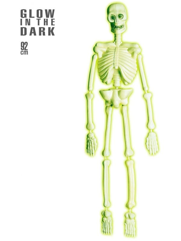 Halloween skelet glow in the dark