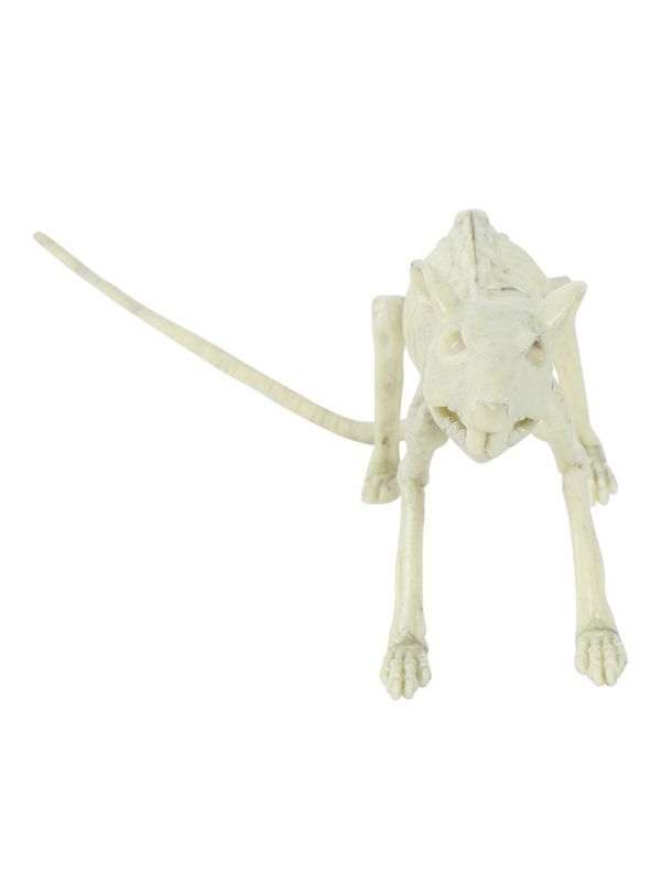 Halloween skelet rat decoratie