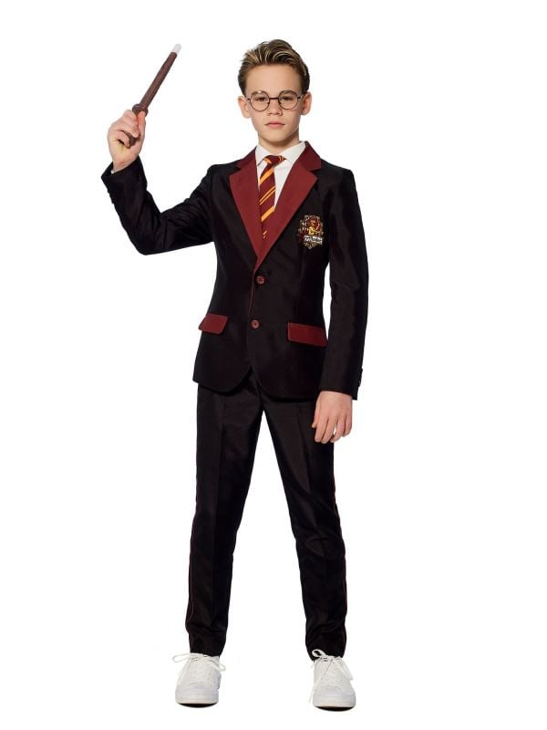 Harry Potter Suitmeister kostuum jongens