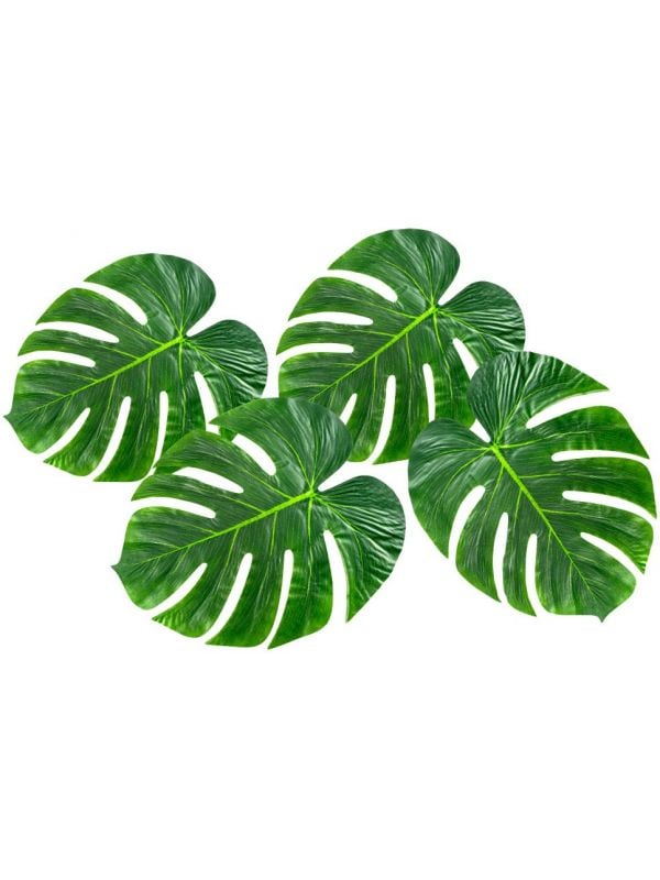 Hawaii groene palmbladeren