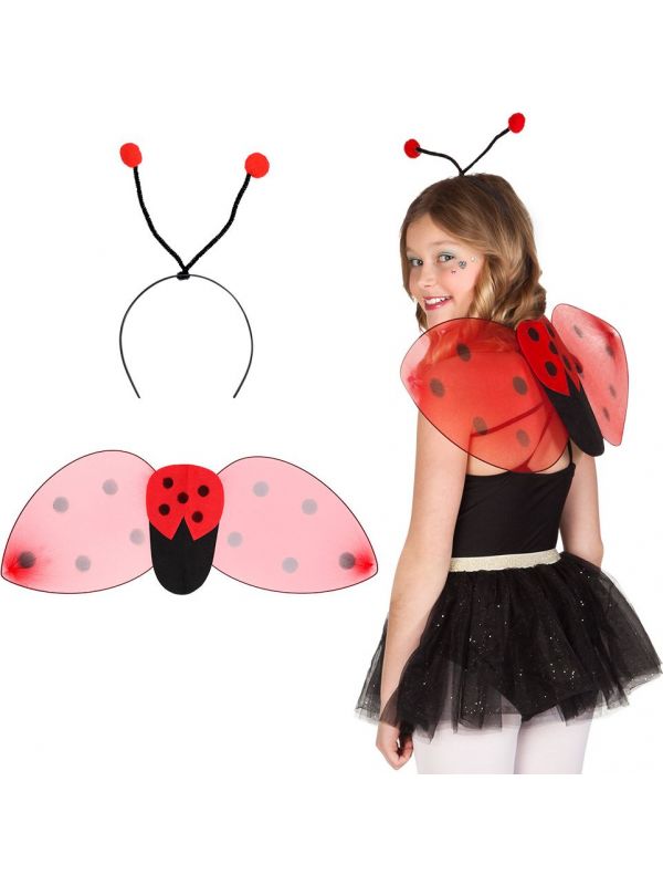 Ladybug accessoires set kind