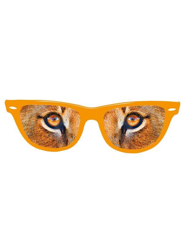 Leeuwenogen feestbril oranje