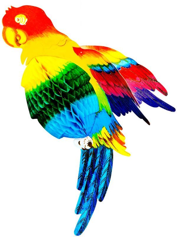Meerkleurige papegaai honingraat