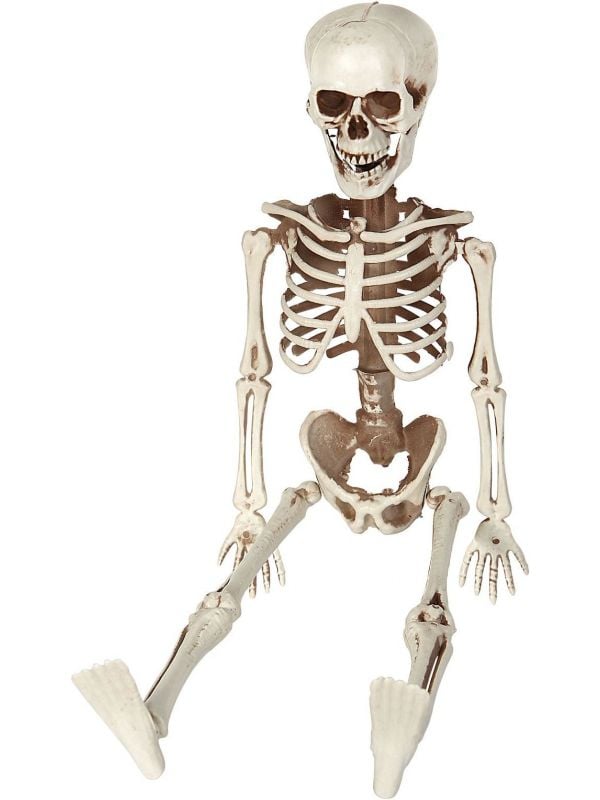 Poseerbaar skelet 40cm