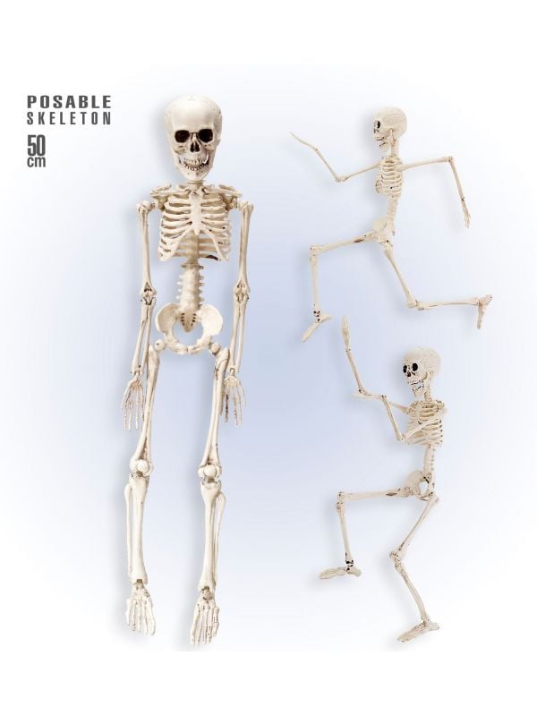 Poseerbaar skelet 50cm