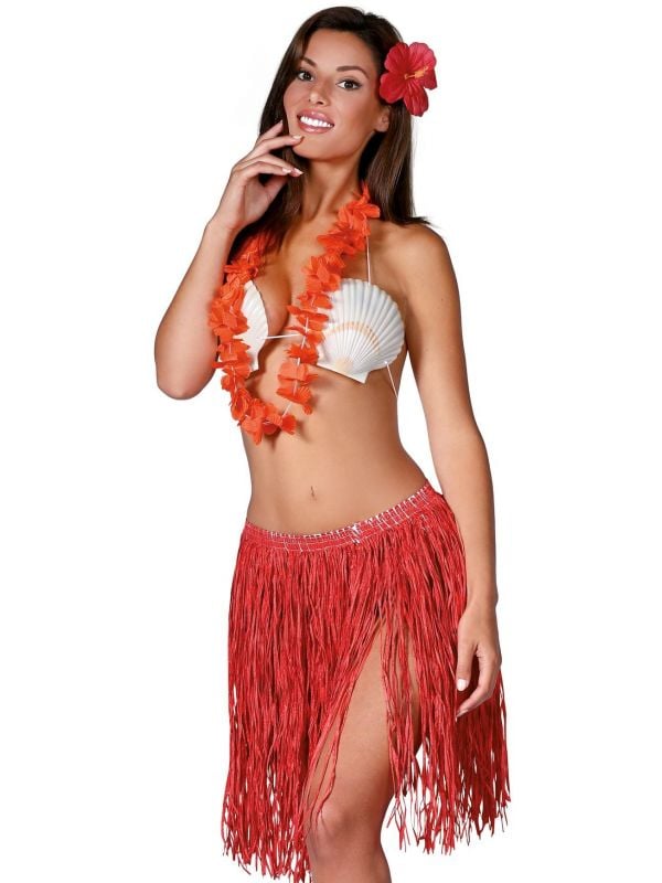 specificeren maak je geïrriteerd accessoires Rode Hawaii thema set budget | Carnavalskleding.nl