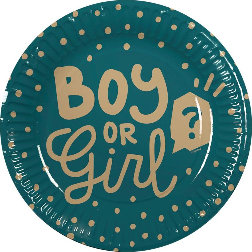10 Gender Reveal Party Papieren Bordjes