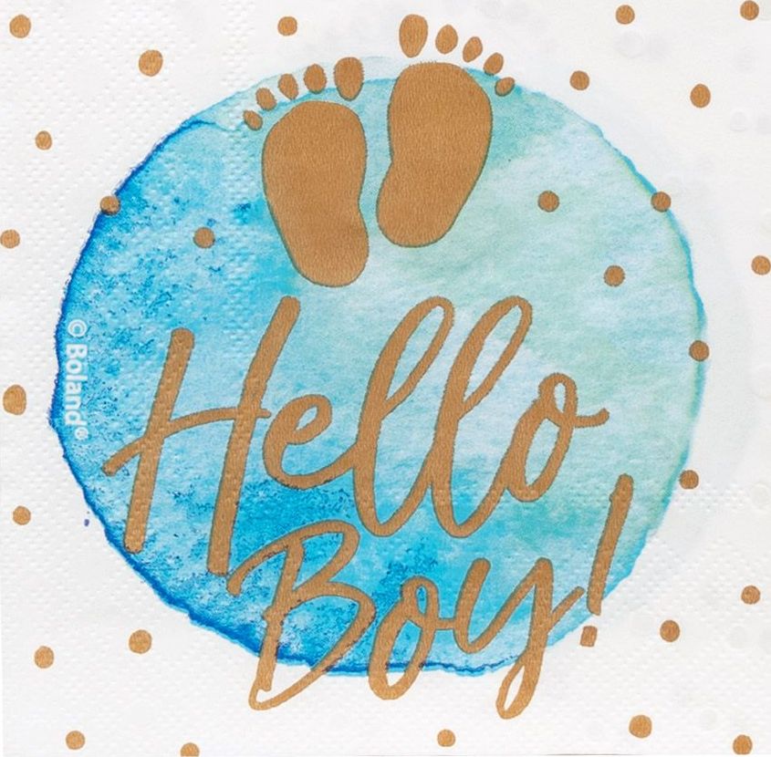20 Papieren Servetten Baby Shower Jongen