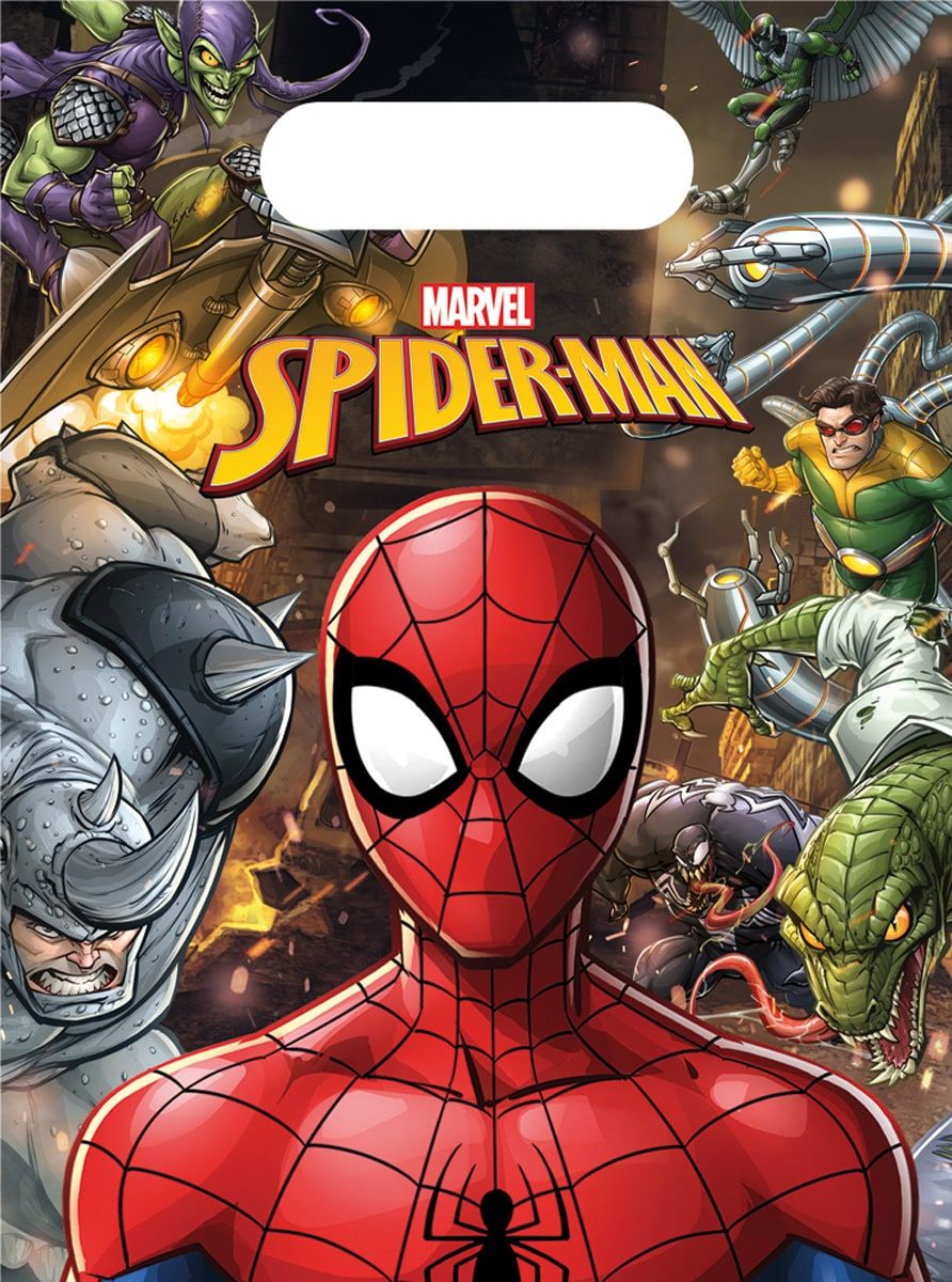6 Spiderman team kinderfeestje uitdeelzakjes