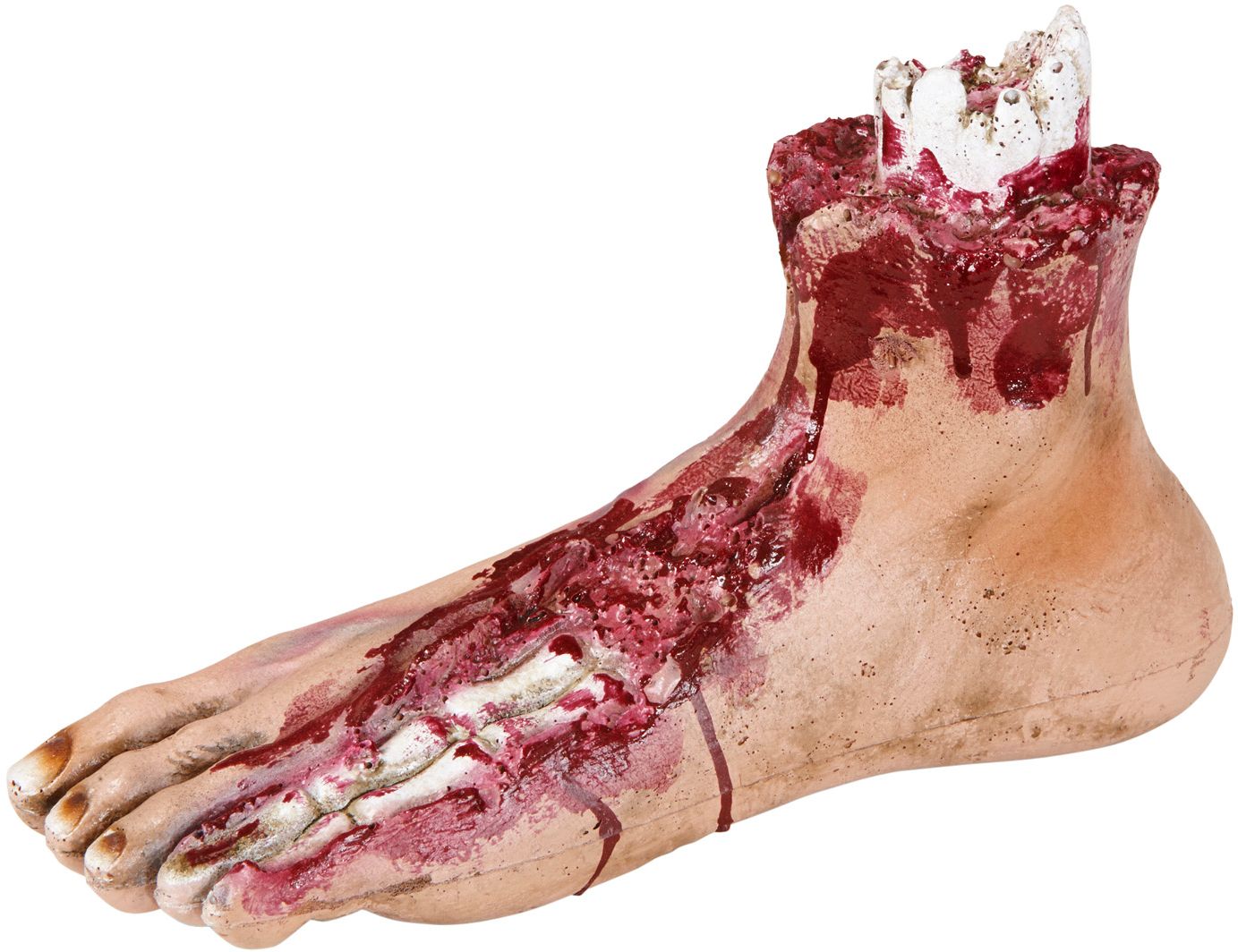 Afgehakte Voet Decoratie