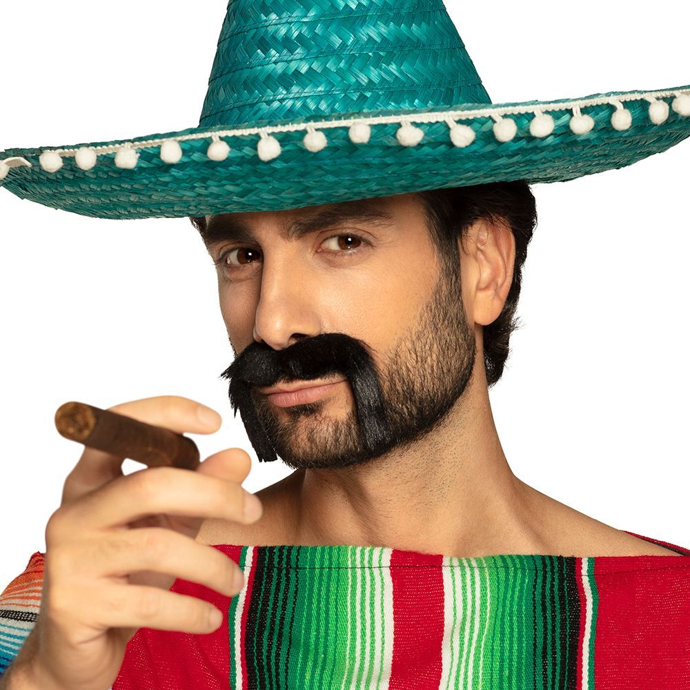 Alfonso Mexicaan Snor