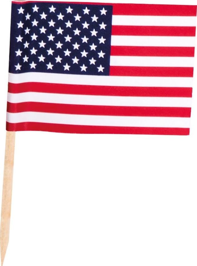 Amerikaanse Fuif Vlag Prikkertjes