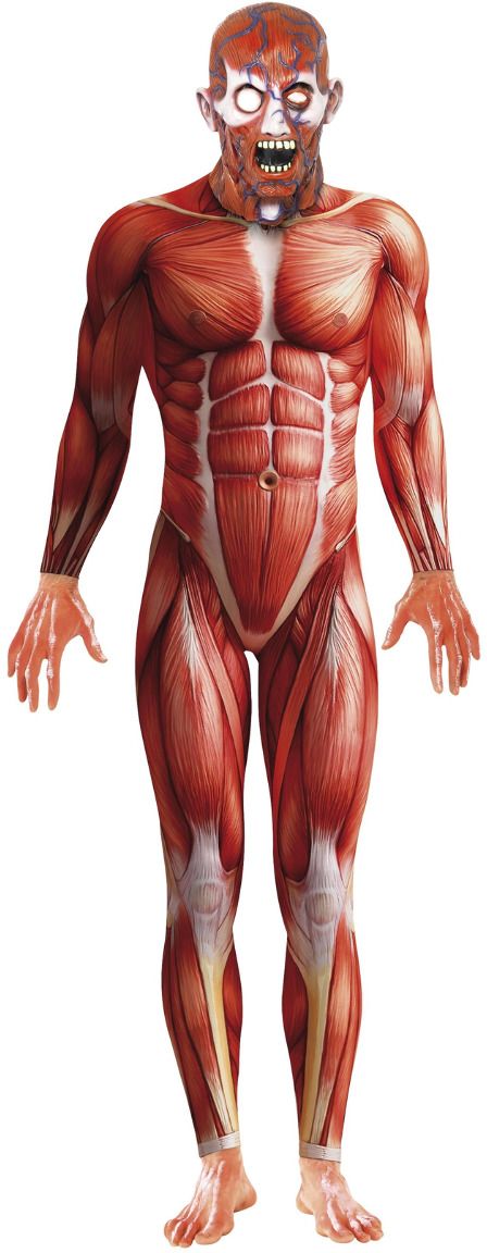 Anatomie man kostuum rood
