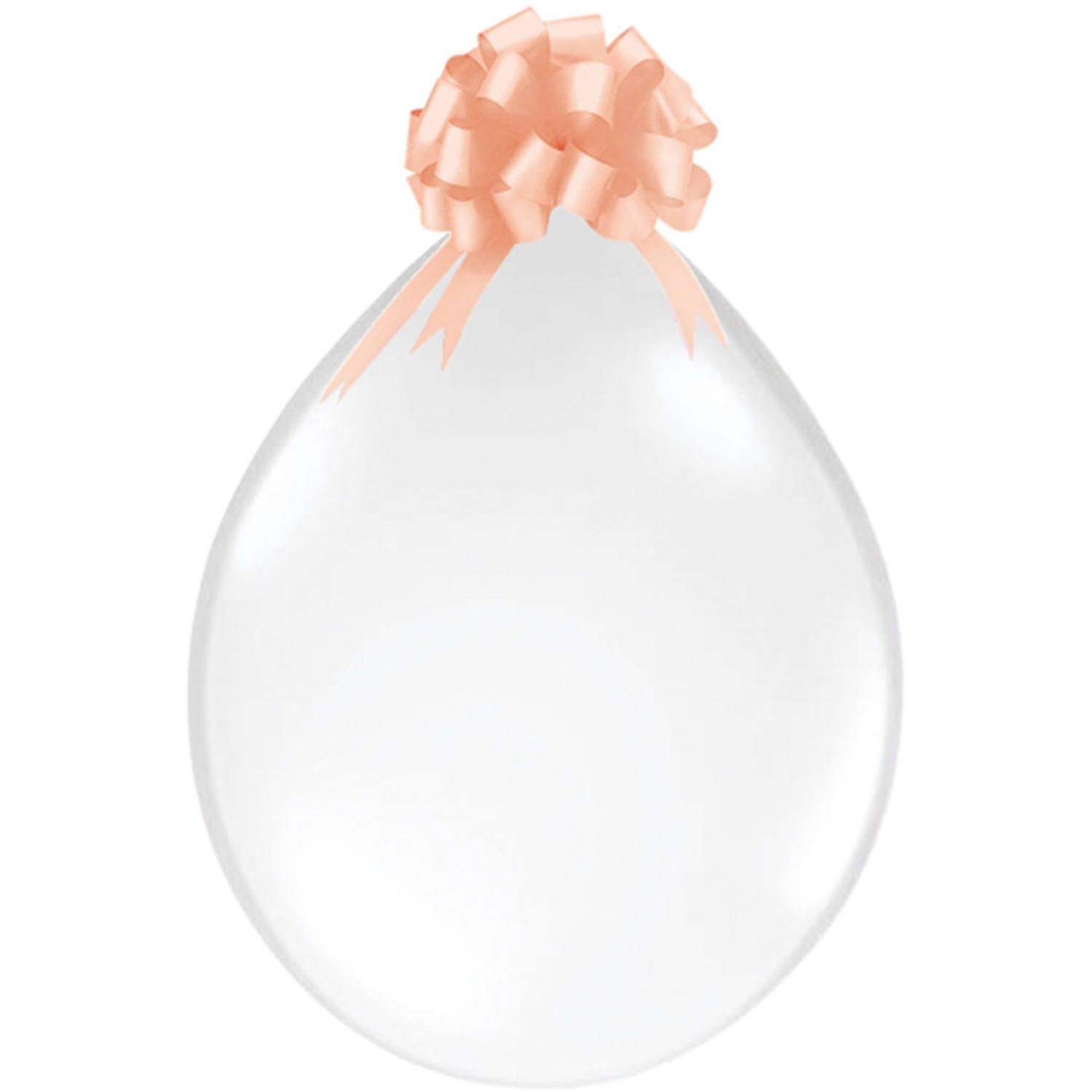 Ballonnen Doorzichtig met Stuffer 25 Stuks