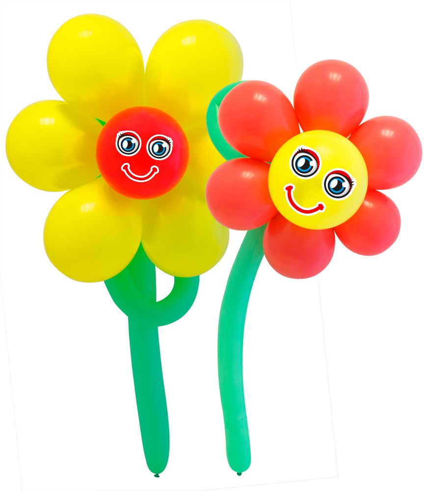 Ballonnen set knutsel bloemen