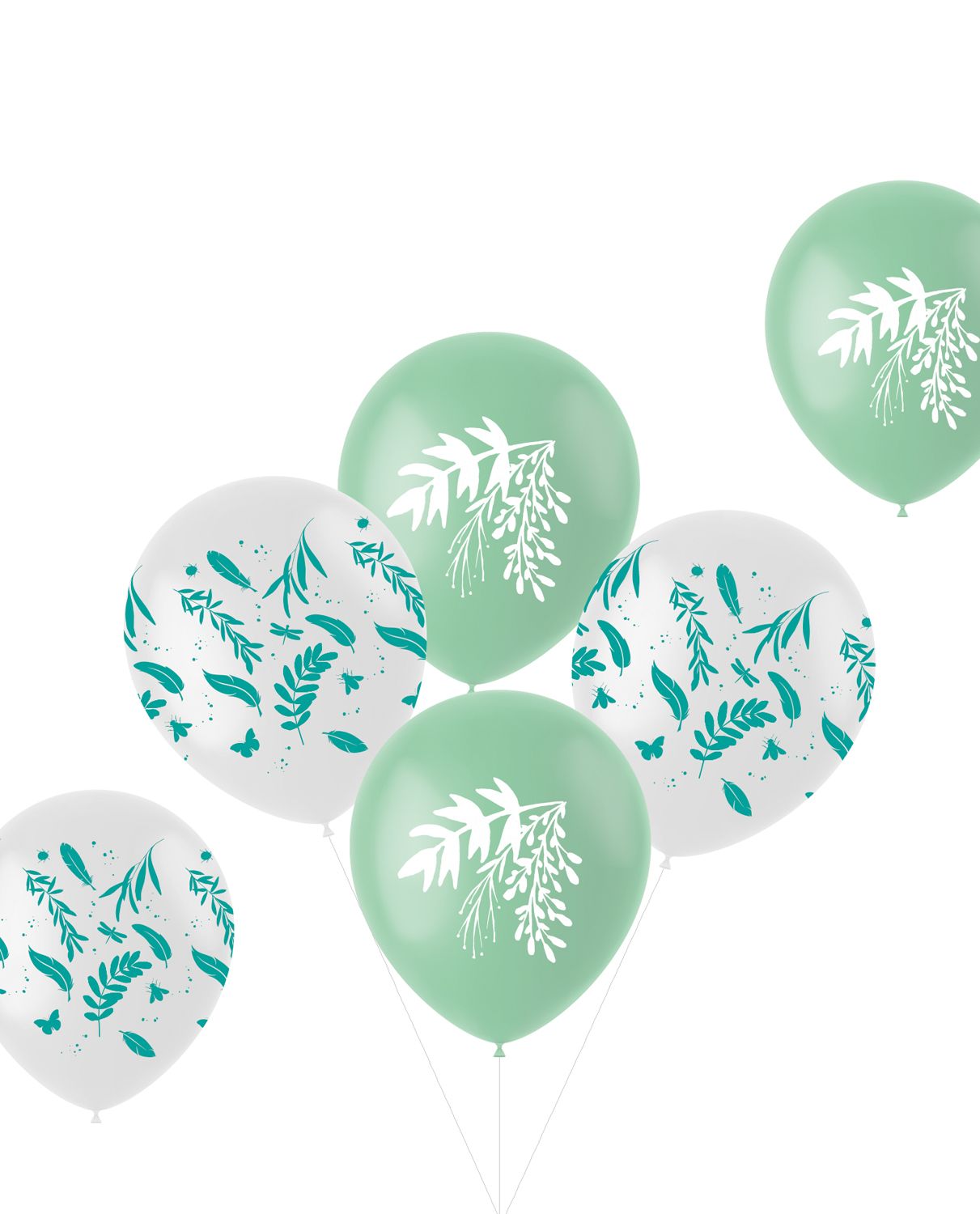 Ballonnen set Natuur Communie