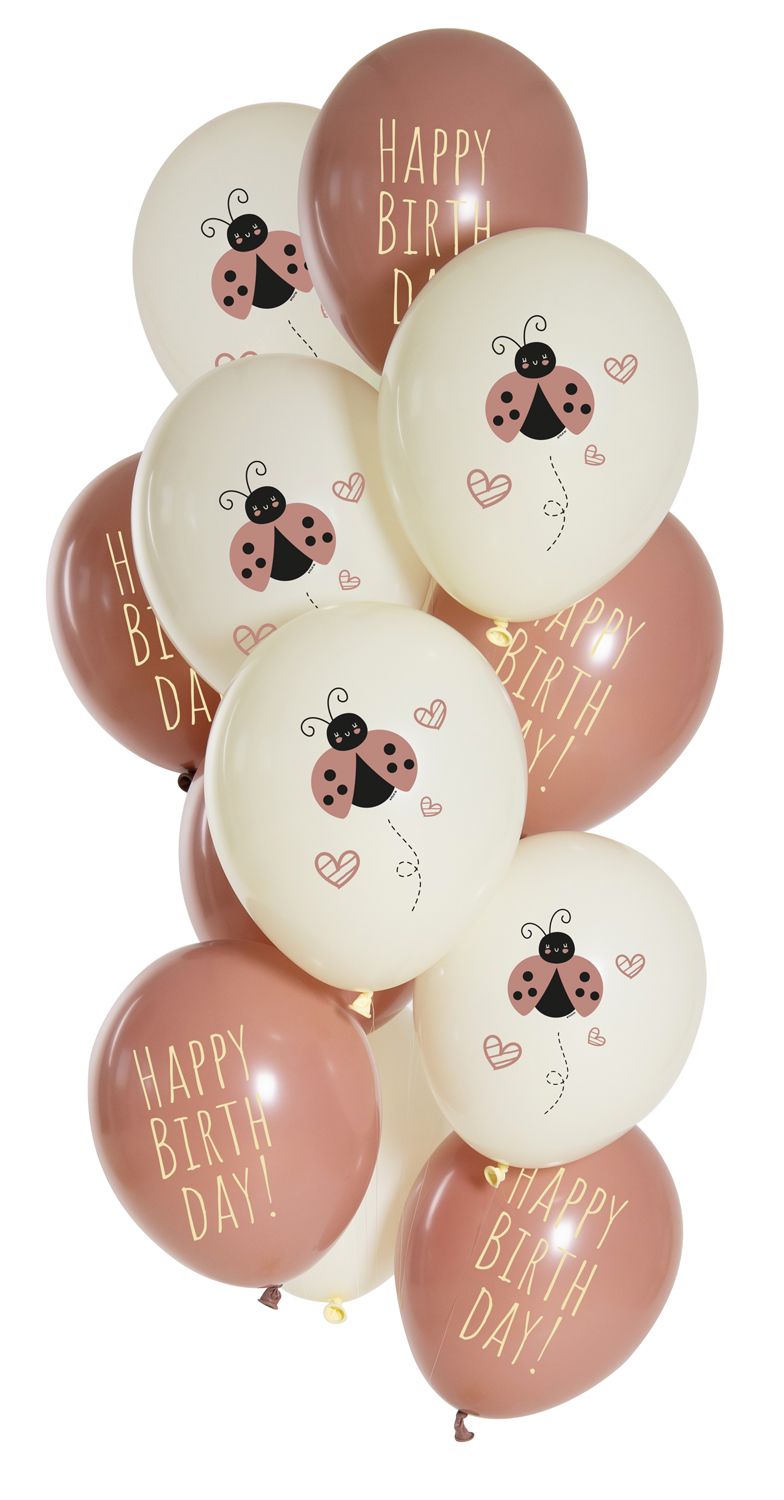 Ballonnen set verjaardag lieveheersbeestje