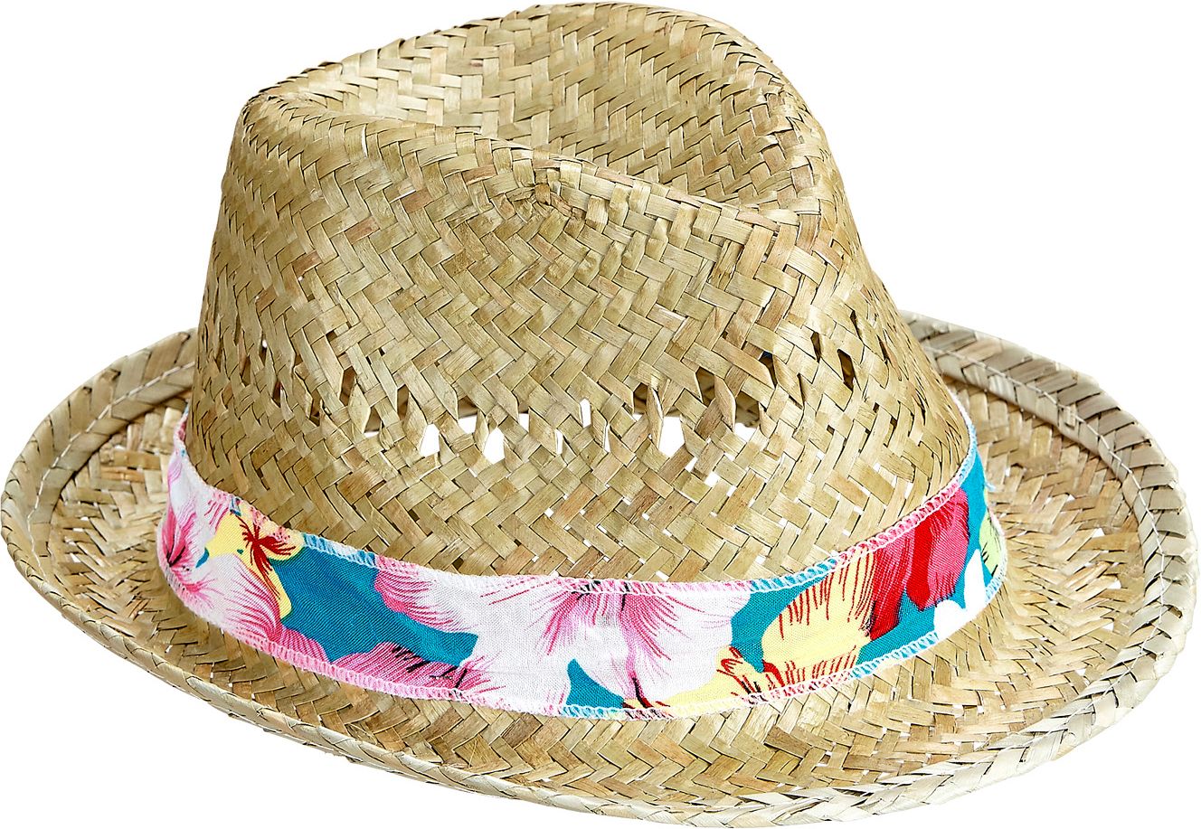 Beachboy Fedora