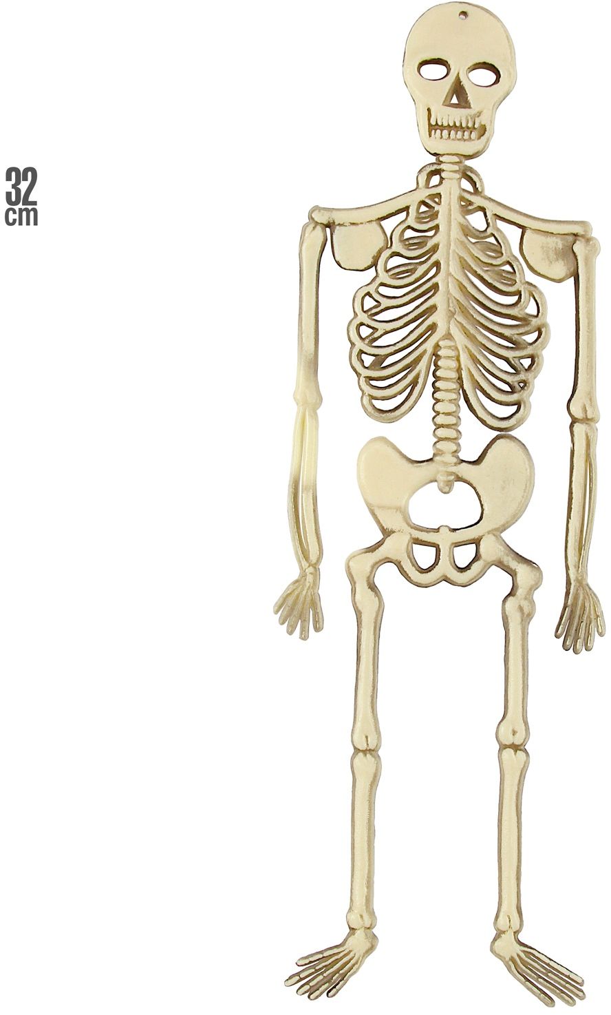 Beenderstelsel Decoratie