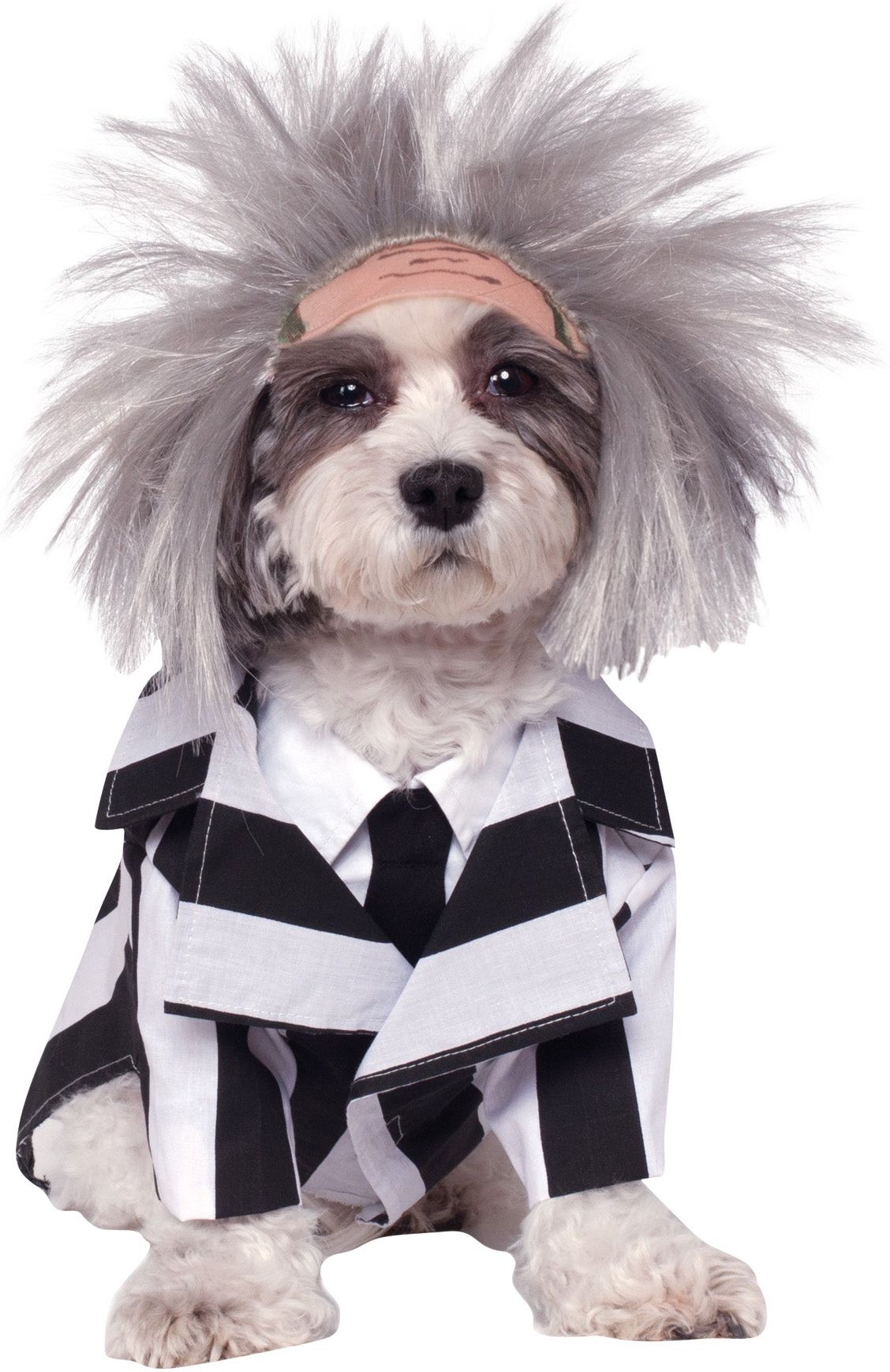Beetlejuice Kostuum voor Honden WB Classic
