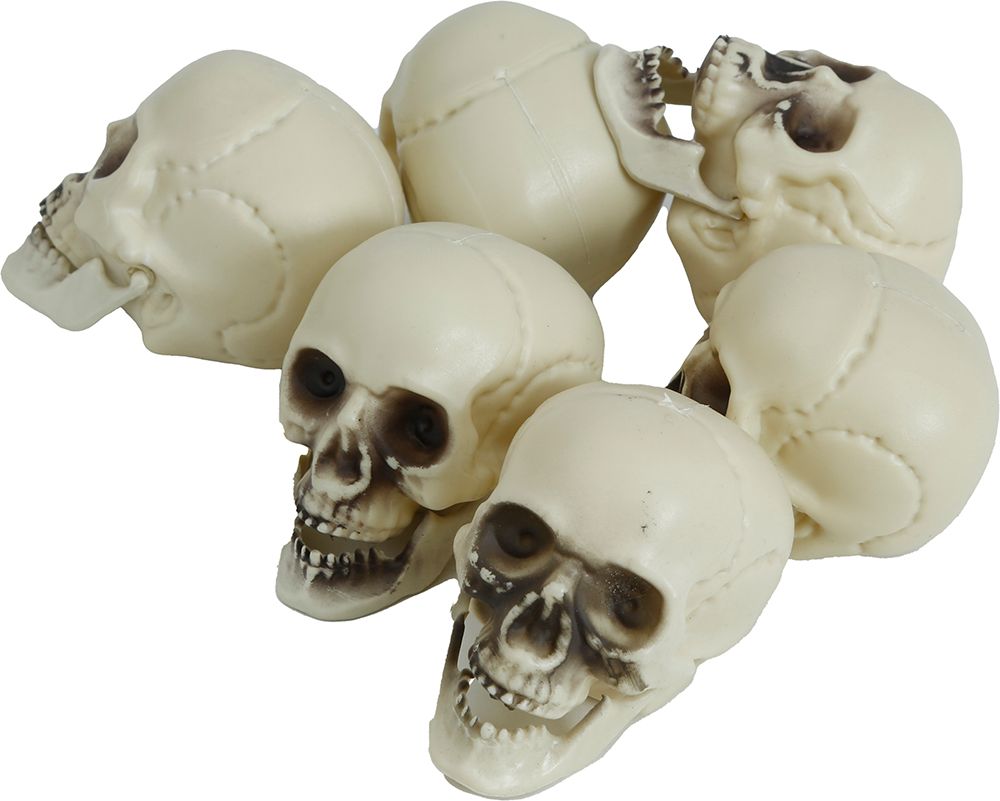 Beige Schedels 6cm set Van 6