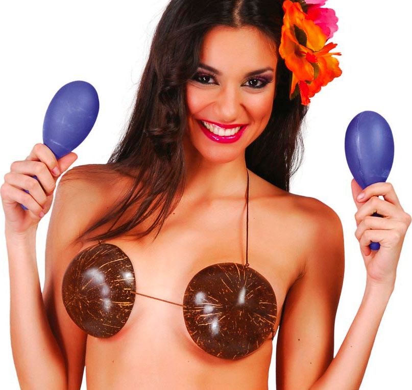 Blauwe Maracas Sambaballen