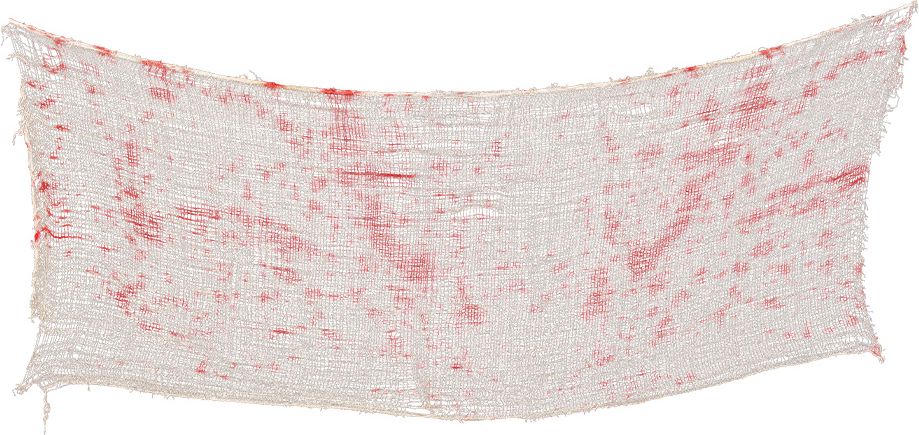 Bloederig Halloween Decoratie Kleed