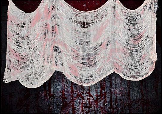 Bloederige Stof Halloween Decoratie