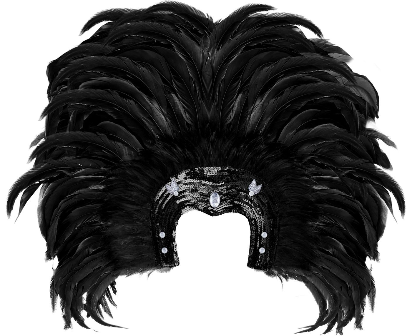 Braziliaanse Veren Hoofdtooi Zwart