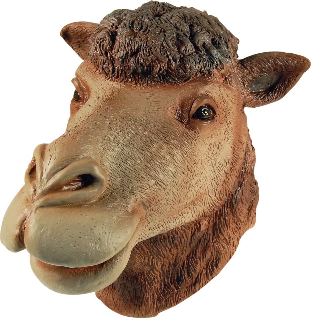 Bruin Kamelen Masker