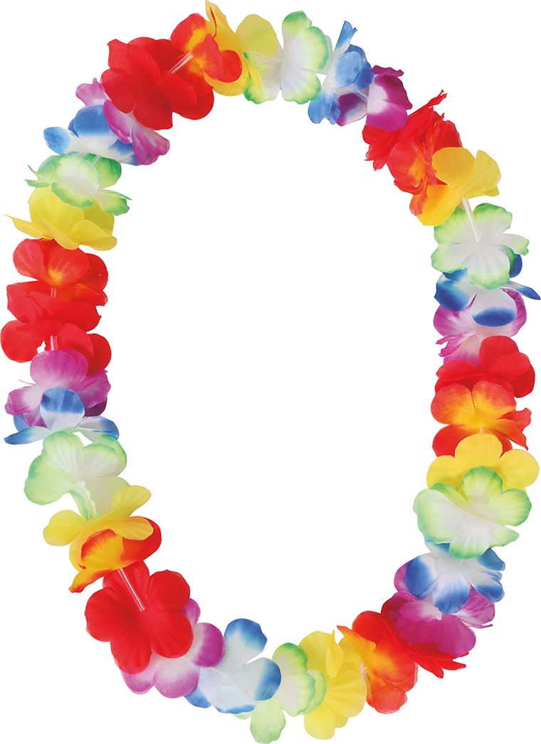 Budget Hawaii Ketting Meerkleurig