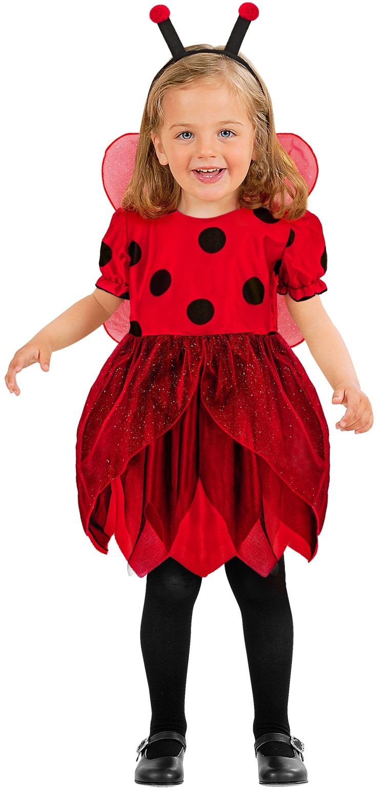 Carnaval Lieveheersbeestje