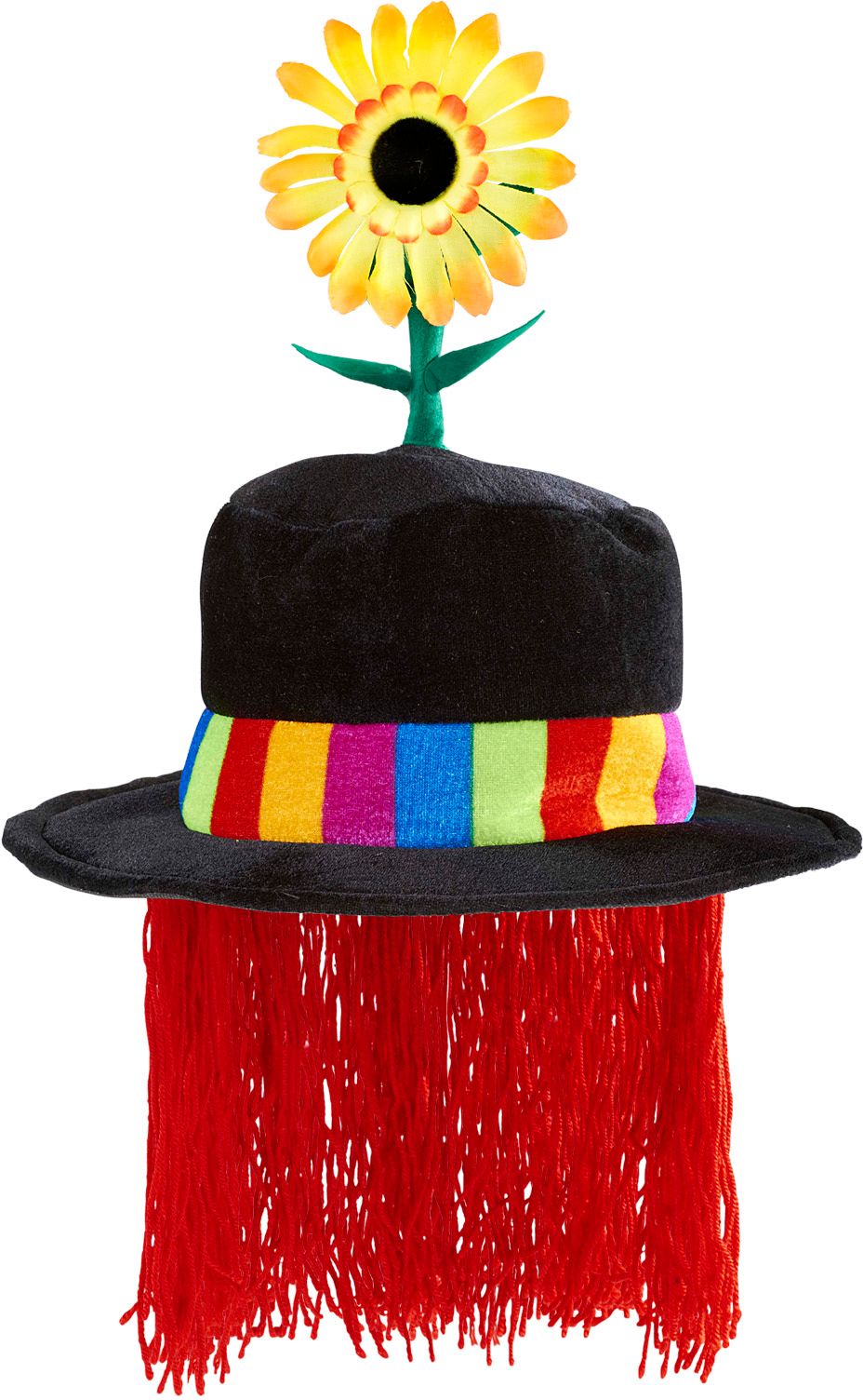 Clownshoed met Haar en Zonnebloem