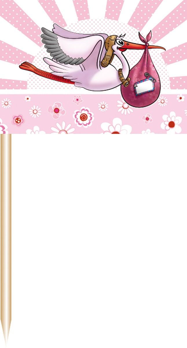 Cocktail Prikkers Geboorte Ooievaar Roze 50 Stuks