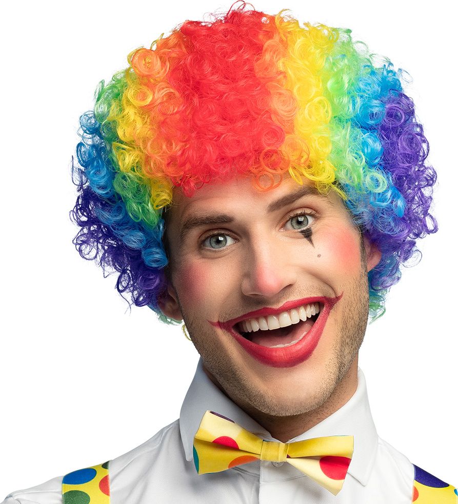 Curly Clown Pruik Veelkleurig