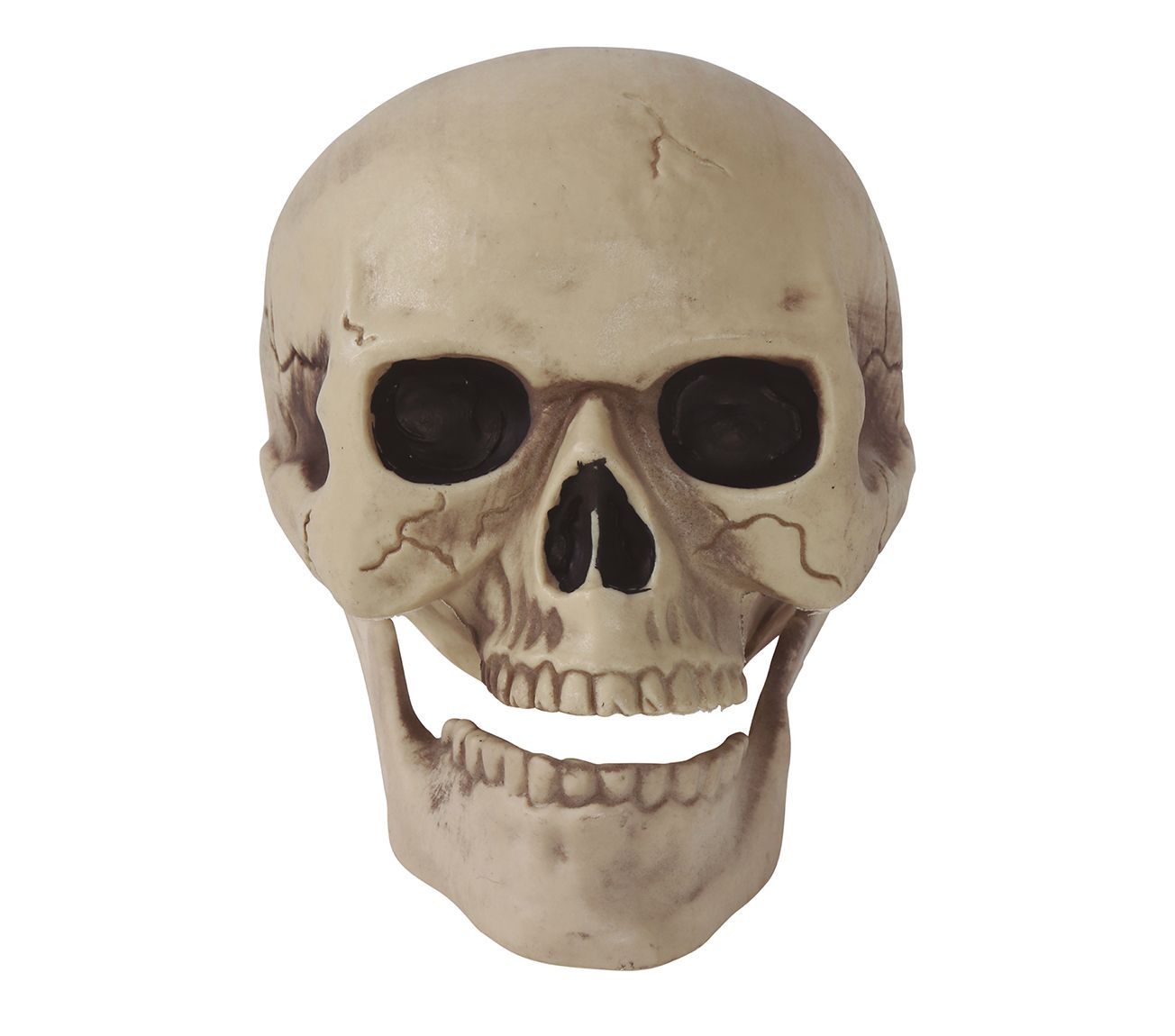 Doodshoofd Decoratie 20cm