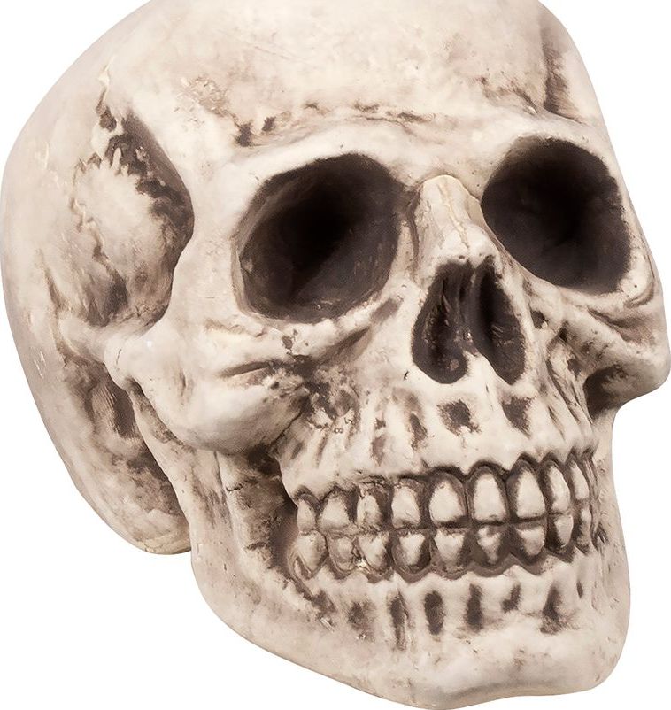 Doodshoofd Decoratie Bighead