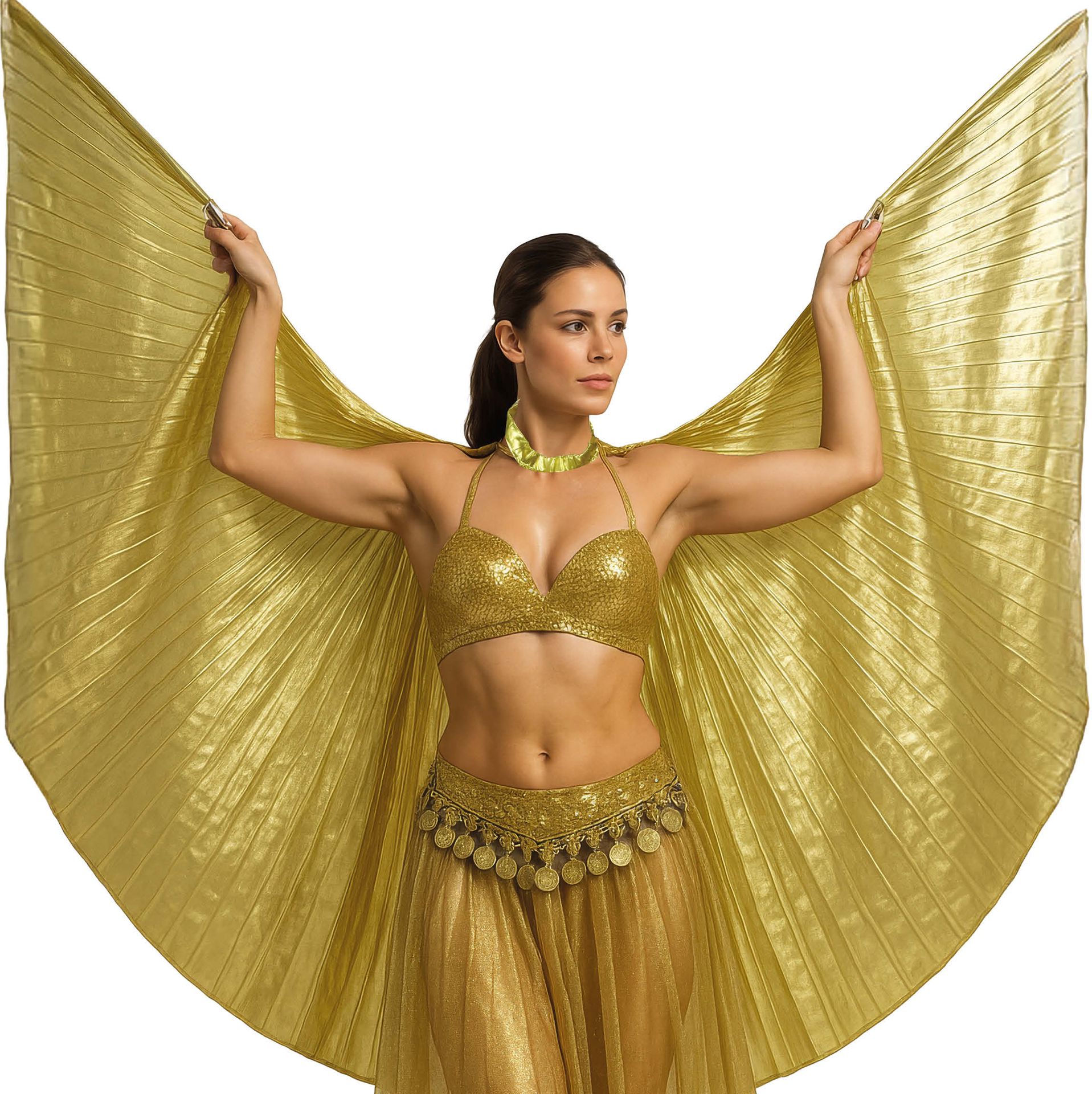 Egyptische Gouden Cape Vleugels